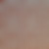 Coupon tissu stenzo popeline de coton – pissenlit rouge rouille, fond blanc - 50x50cm