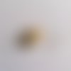 1 perle gemme - agate feu - couleur beige - 18x25mm - 760div