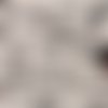Coupon tissu - profil de chiens fond blanc - coton - 50x40cm