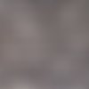 Coupon tissu - tête de chats fond gris - coton - 50x40cm