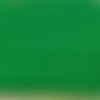2m ruban croquet serpentine - vert - polycoton - 5mm