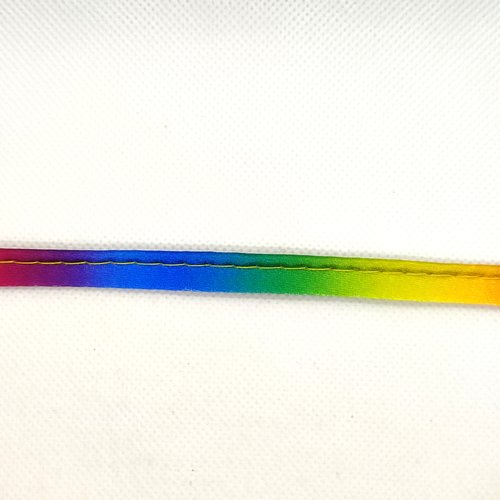 Passepoil satin multicolore - 10mm - vendu au mètre - p52