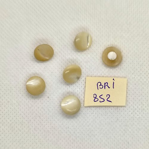 6 boutons en nacre ivoire - 10mm - bri852