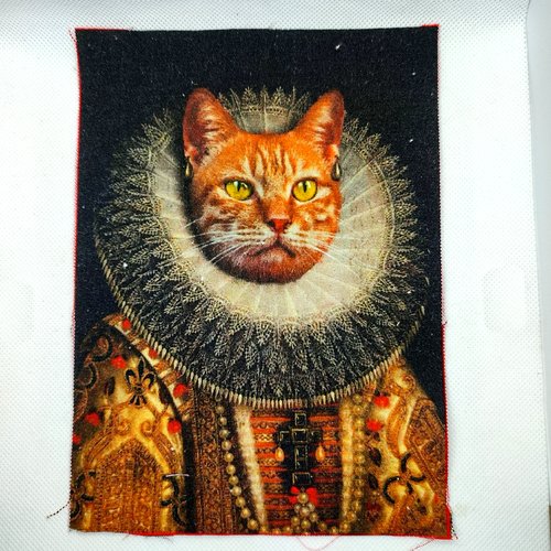 Coupon tissu un chat avec son costume multicolore - coton épais - 15x20cm
