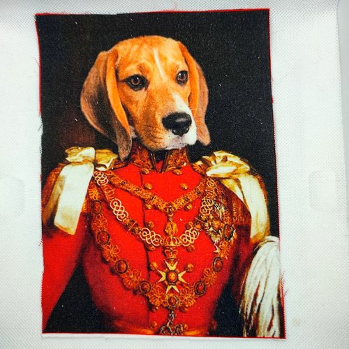 Coupon tissu un chien en costume rouge - coton épais - 15x20cm