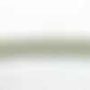 4m de galon polyester vert et blanc - 15mm