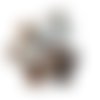 22 boutons en nacre marron - entre 15mm et 25mm - tr3524