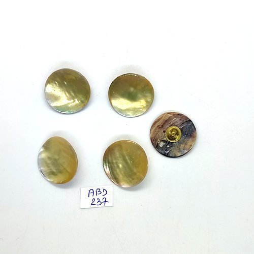5 boutons en nacre jaune - 23mm - abd237