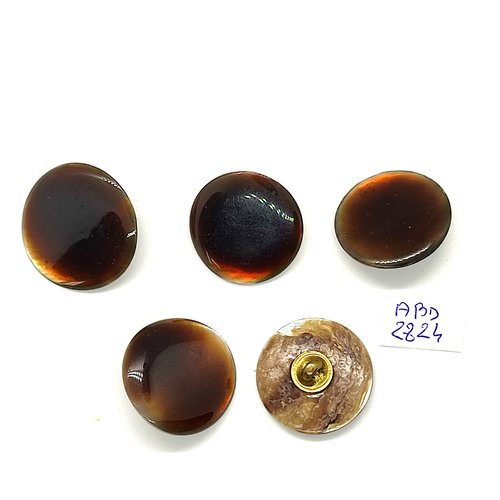 5 boutons en nacre marron - 23mm - abd2824