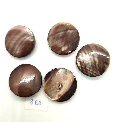 5 boutons en nacre marron - 27mm - 365