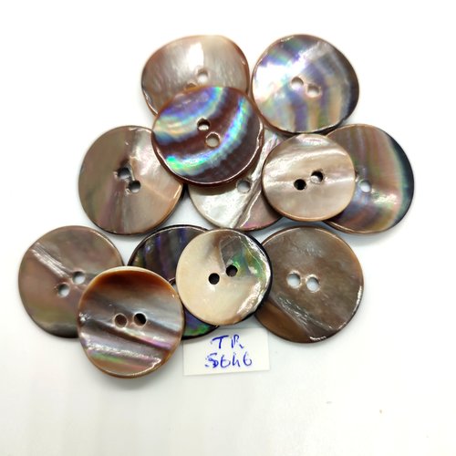 12 boutons en nacre marron - 25mm et 23mm - tr5646