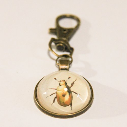 Porte clés scarabée doré