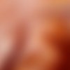 Velours alaska ashley wilde orange rouille rust