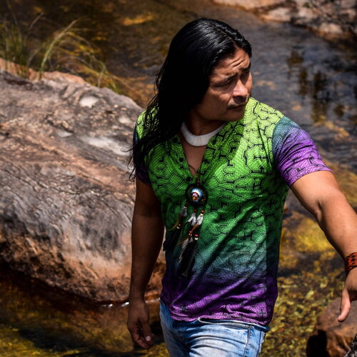 Tshirt shipibo en coton, dégradé vert violet avec art fascinant de la géométrie sacrée, motifs de plantes psychédéliques.
