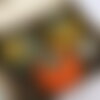 Citrouilles