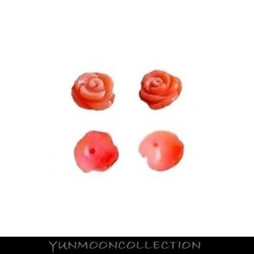 Sp-17/2x corails mixte rose et orange fleur