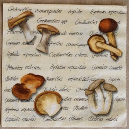 Serviette " champignons " 33 cm x 33 cm