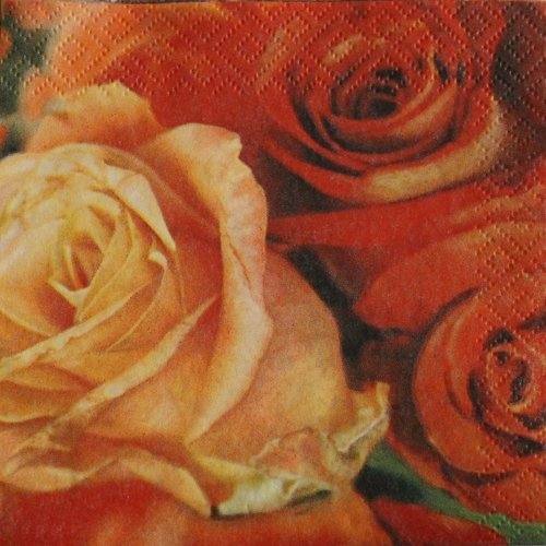 3 serviette " rose rouge  " 25 cm x 25 cm