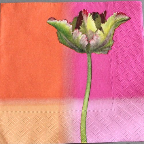 Serviette " tulip  " 33 cm x 33 cm