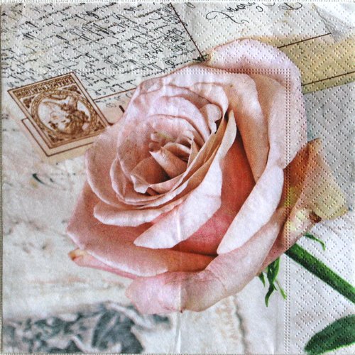 Serviette papier rose rose  33 x 33 cm