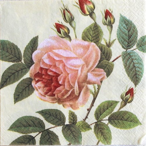 Serviette papier rose  33 x 33 cm
