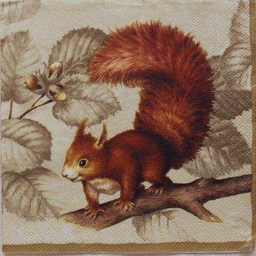 Serviette papier écureuil roux  33 x 33 cm