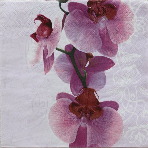 Serviette papier orchidées    33 x 33 cm