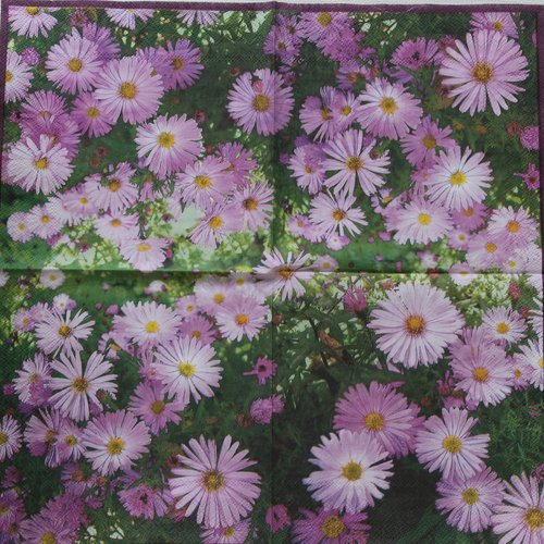 Serviette papier fleurs n°4 s33 x 33 cm
