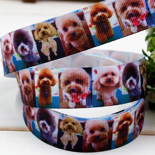 Ruban polyester  : chien largeur 22mm longueur 100cm (04)