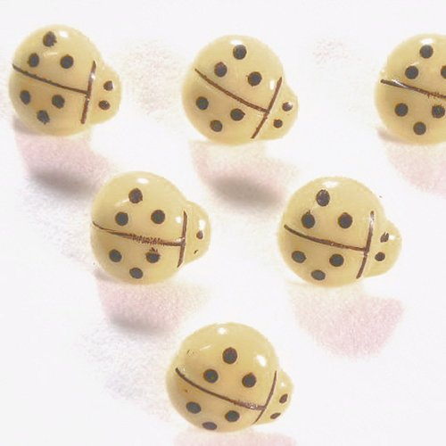 Lot 6 boutons acryliques : coccinelle beige 14*13mm