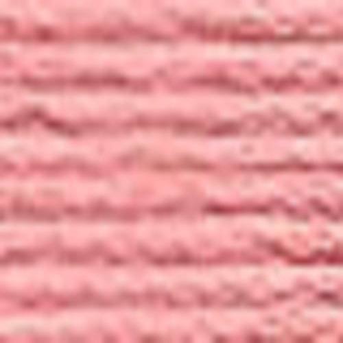 Echevette mouliné anchor pour broderie : n° 895 