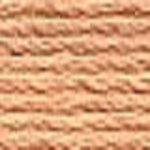Echevette mouliné anchor pour broderie : n° 914 