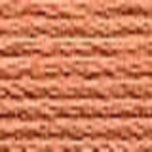 Echevette mouliné anchor pour broderie : n° 1013 