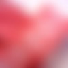 Ruban polyester : rouge motif imitation dentelle blanche largeur 26mm longueur 100cm (01)