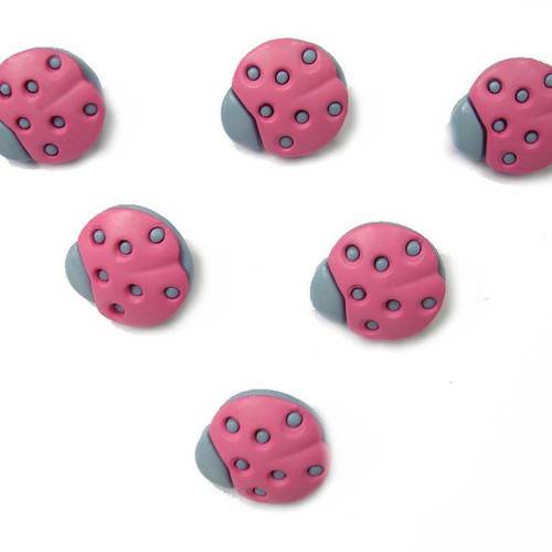 Lot 6 boutons : coccinelle rose/bleu 17mm 