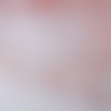 Dentelle blanche et rose : largeur 16mm longueur 100cm(08) 