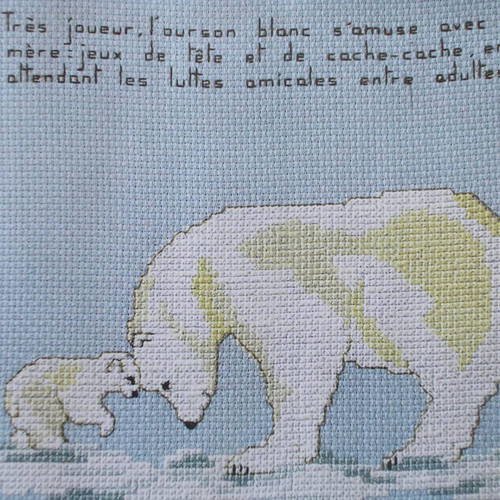 Kit a broder : l'ourse polaire et son petit