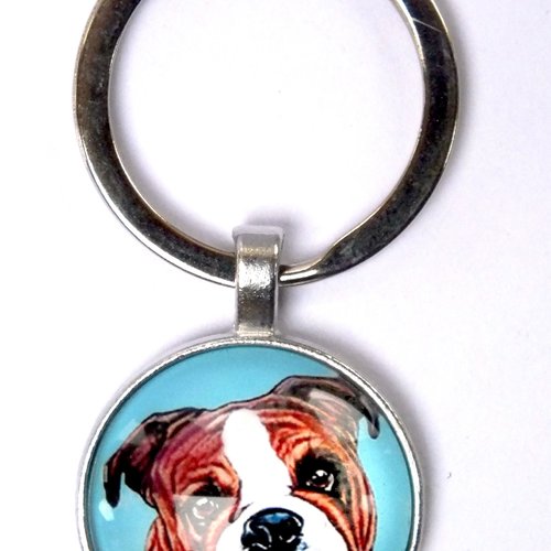 Porte clef metal argente : chien boxer 27mm (01)
