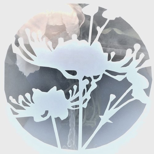 Pochoir plastique 13*13cm : fleur (15)