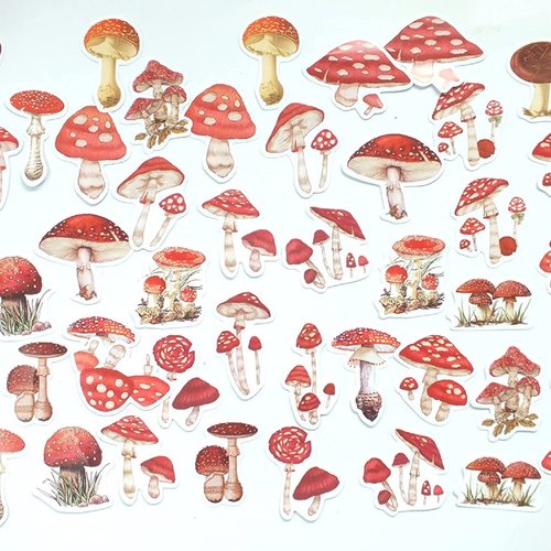 Lot de 45 stickers  ( pack de 4 * 4 cm ): illustrations champignon amanite phalloide