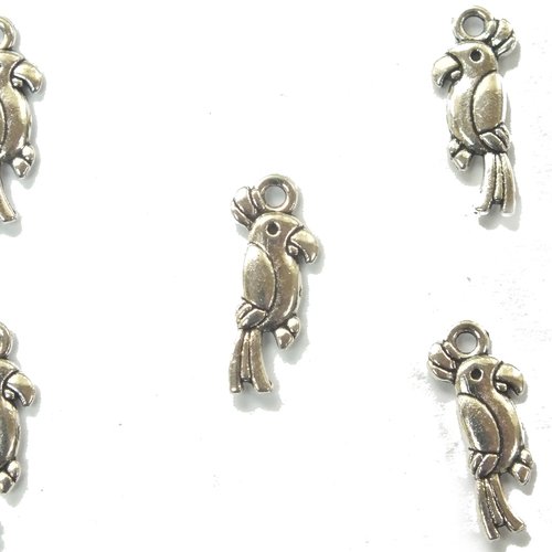 Lot 5 charms/breloques plaqué argent : perroquet 19*8mm (01)