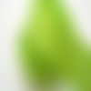 Ruban satin : vert clair motif étoile largeur 22mm longueur 100cm (03)
