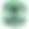 Ruban polyester : vert motif papillon largeur 25mm longueur 100cm (13)