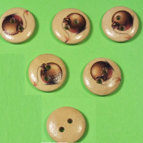 Lot 6 boutons bois : rond thème mer 15mm (48)
