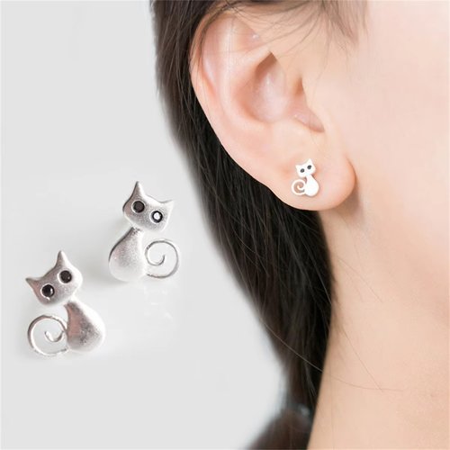 Puces d'oreilles chat
