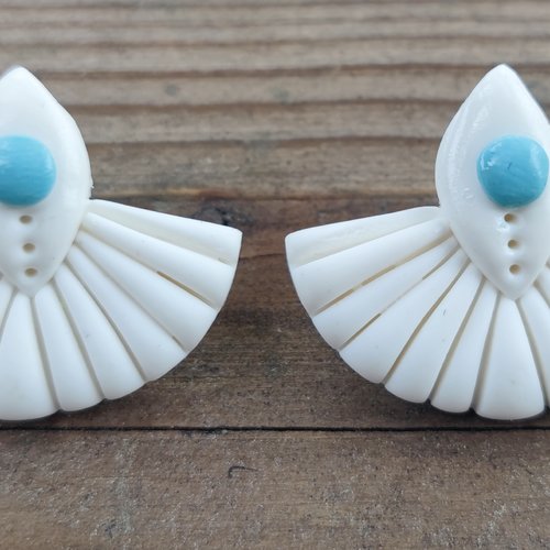 Puces d’oreille