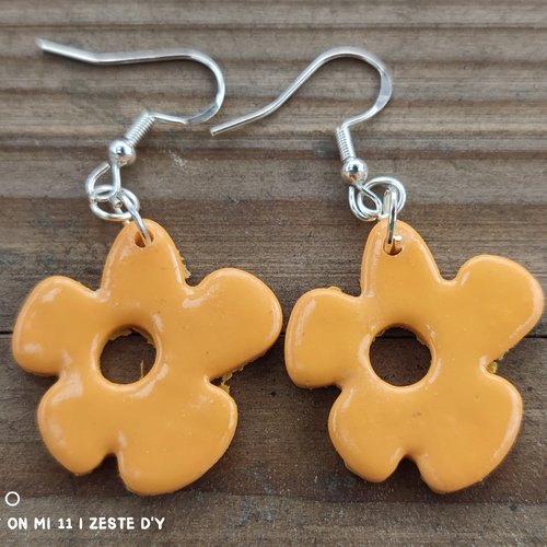 Boucles d’oreilles