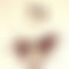 Photo FABI