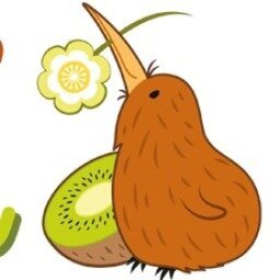 Photo Fleur de Kiwi