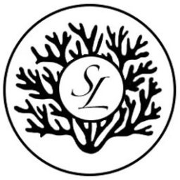 Photo Sarah Lemonnier Bijouterie